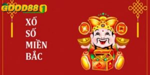 Tham gia cá cược xổ số miền Bắc hôm nay an toàn tại GOOD88