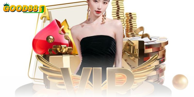 Đối với các thành viên VIP sẽ có những ưu đãi độc quyền khác