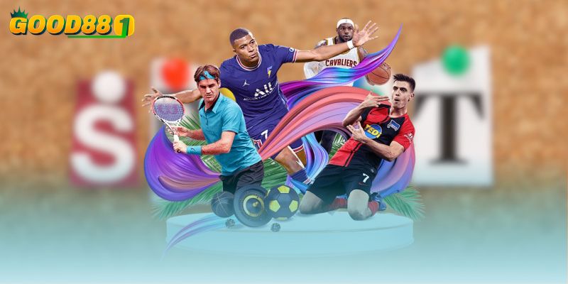 Hiểu rõ về từng giải đấu để dễ dàng theo dõi