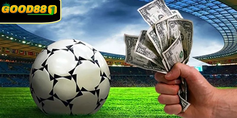 Đa dạng hóa kèo giúp tối ưu lợi nhuận khi đặt cược