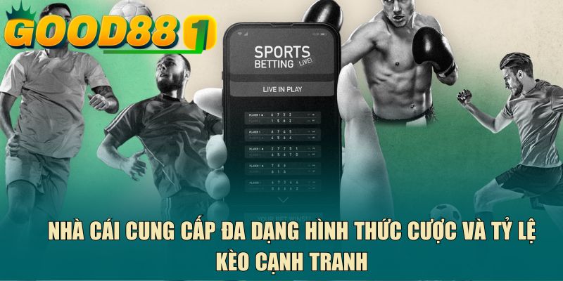 Nhà cái cung cấp đa dạng hình thức cược và tỷ lệ kèo cạnh tranh