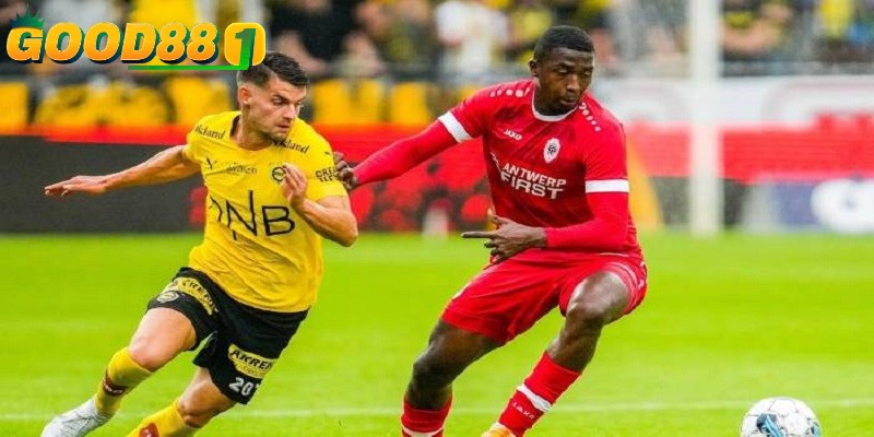 Dùng phần mềm, trang web hỗ trợ khi soi kèo cược