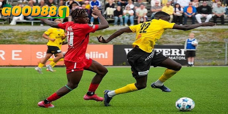 Luôn theo dõi tin tức đội bóng