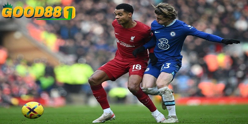 Phân tích cẩn thận lịch sử đối đầu khi cá cược