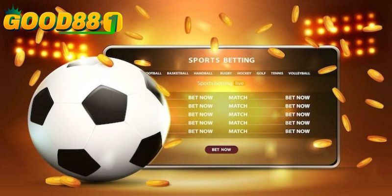 Những sai lầm thường gặp khi bạn chọn trang cá cược 