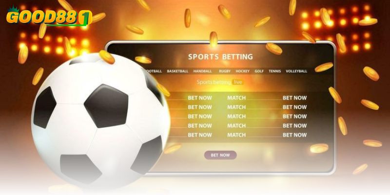 Thu thập tất cả các thông tin về trận đấu