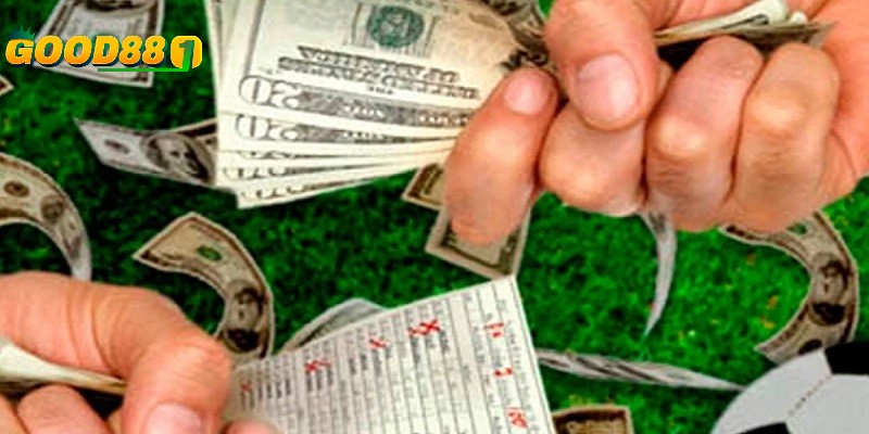 Trang cá độ bóng đá uy tín thanh toán sòng phẳng