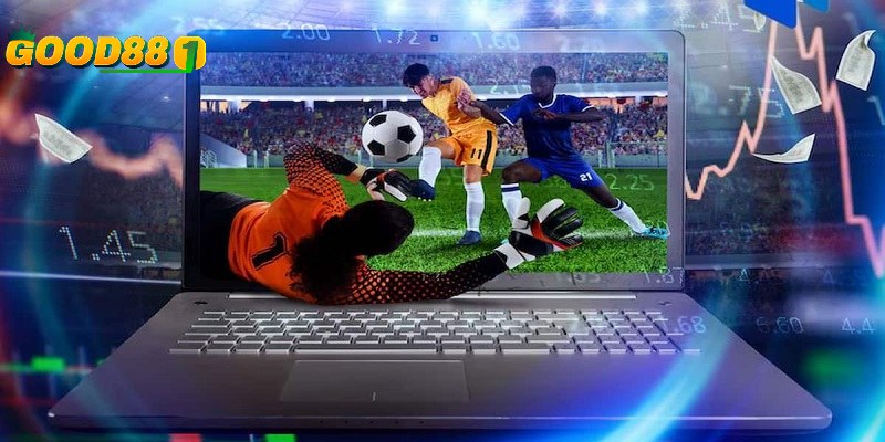 Trang cá độ bóng đá uy tín và bí kíp chọn lựa từ dân chuyên