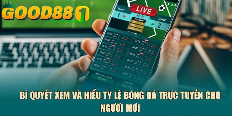 Bí quyết xem và hiểu tỷ lệ bóng đá trực tuyến cho người mới