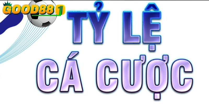 Khám phá tỷ lệ cá cược bóng đá – Cách đọc kèo dễ hiểu nhất