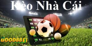 Tỷ Lệ Kèo Nhà Cái Hôm Nay: Giải Mã Bí Mật Thắng Lớn