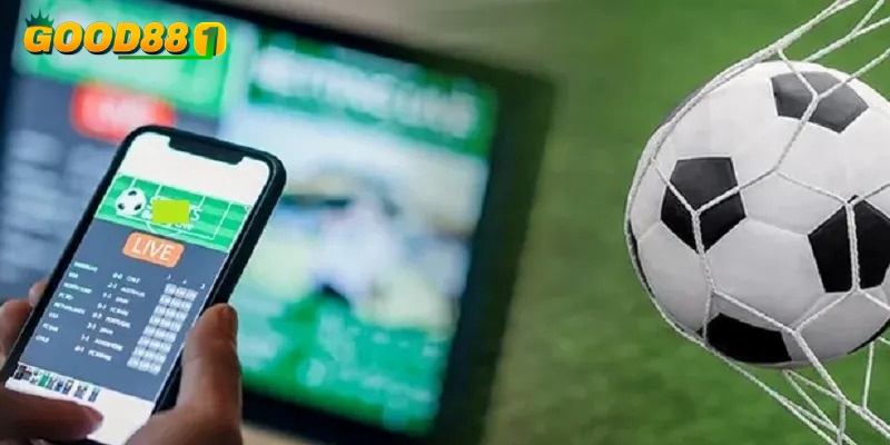 Web cá độ bóng đá uy tín có giấy phép hợp pháp